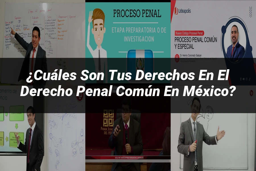 "¿Cuáles Son Tus Derechos en el Derecho Penal Común en México?"