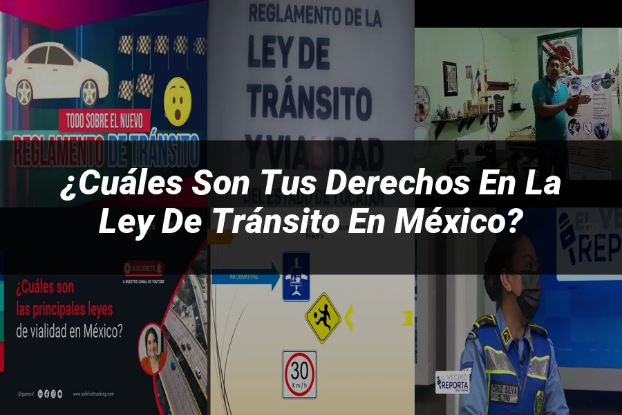 "¿Cuáles Son Tus Derechos en la Ley de Tránsito en México?"