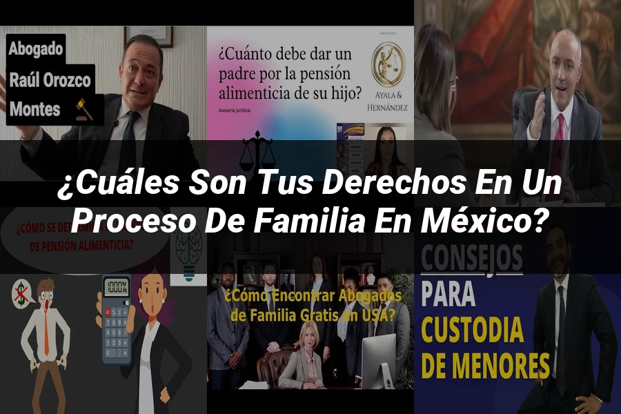 "¿Cuáles Son Tus Derechos en un Proceso de Familia en México?"