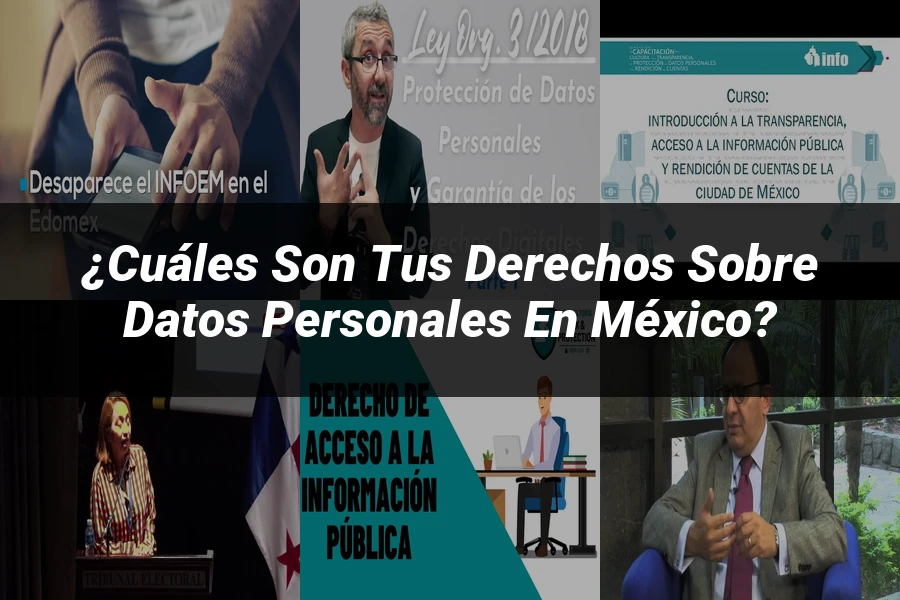"¿Cuáles Son Tus Derechos sobre Datos Personales en México?"