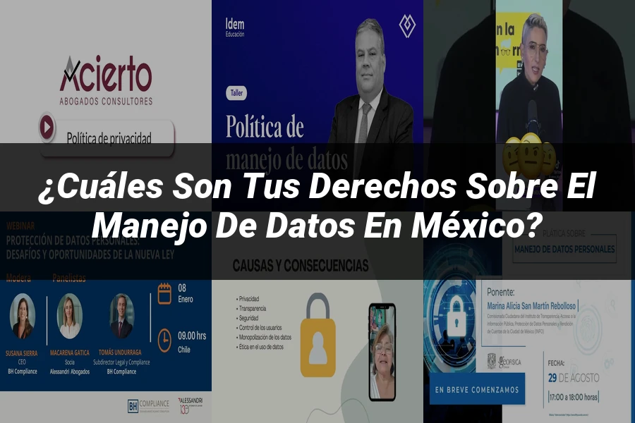"¿Cuáles Son Tus Derechos sobre el Manejo de Datos en México?"