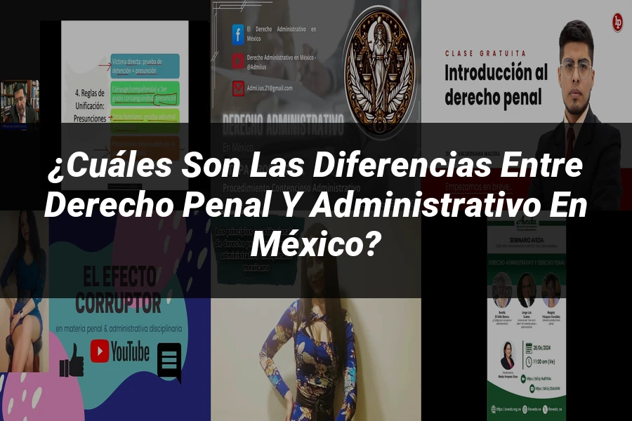 "¿Cuáles Son las Diferencias entre Derecho Penal y Administrativo en México?"