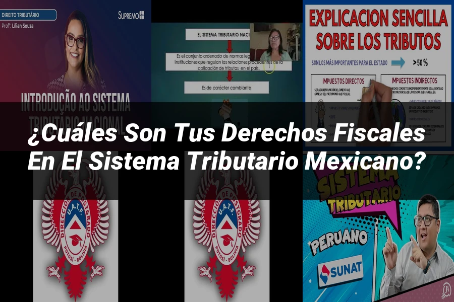 "¿Cuáles Son tus Derechos Fiscales en el Sistema Tributario Mexicano?"