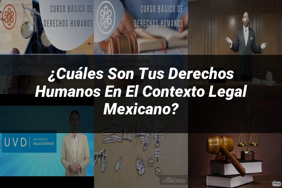 "¿Cuáles Son tus Derechos Humanos en el Contexto Legal Mexicano?"