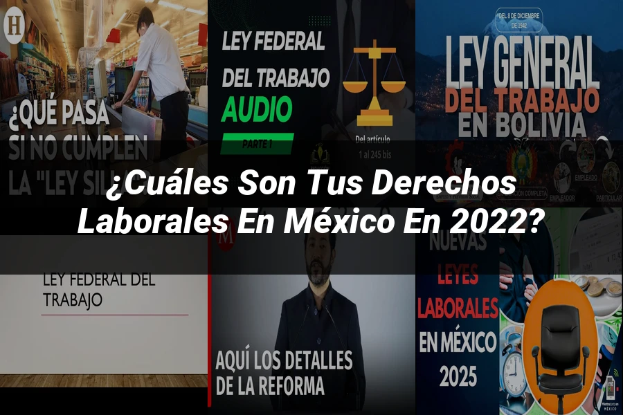 "¿Cuáles Son tus Derechos Laborales en México en 2022?"