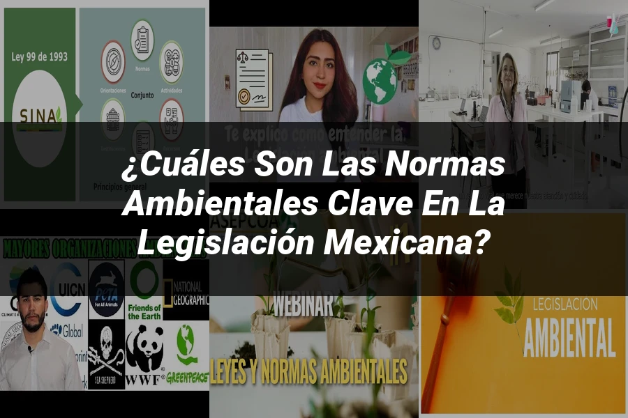 "¿Cuáles son las Normas Ambientales Clave en la Legislación Mexicana?"