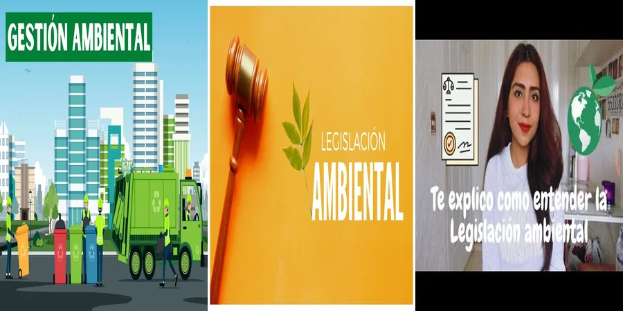 "¿Cuáles son las Normas Ambientales Clave en la Legislación Mexicana?"