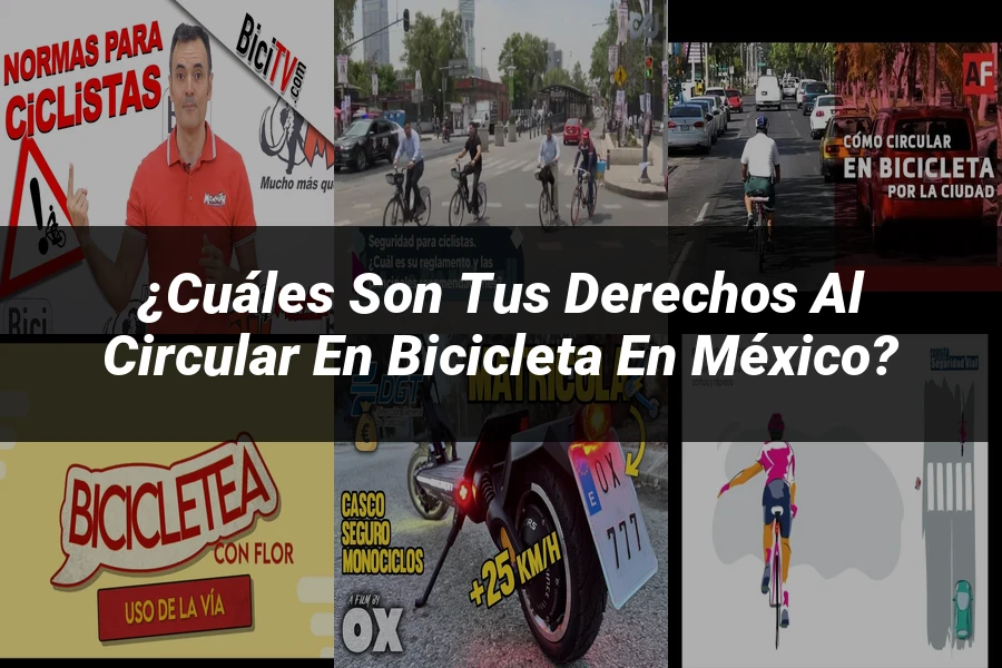 "¿Cuáles son tus Derechos al Circular en Bicicleta en México?"