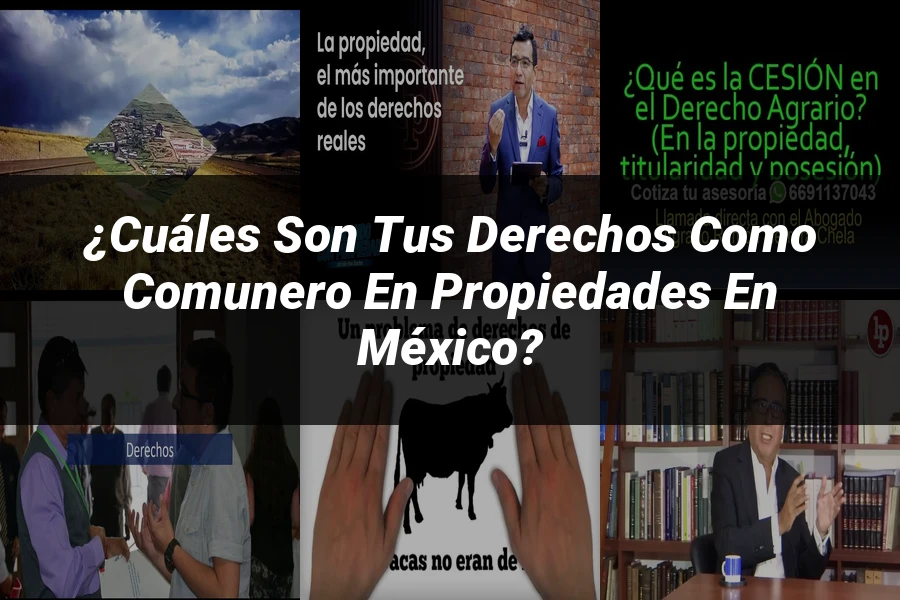 "¿Cuáles son tus Derechos como Comunero en Propiedades en México?"