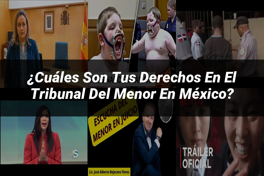 "¿Cuáles son tus Derechos en el Tribunal del Menor en México?"