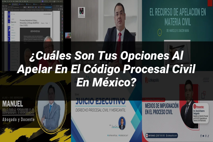"¿Cuáles son tus Opciones al Apelar en el Código Procesal Civil en México?"