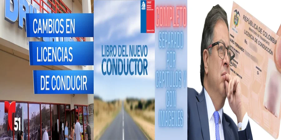 "¿Cuáles son tus derechos al obtener una licencia de conducir en México?"