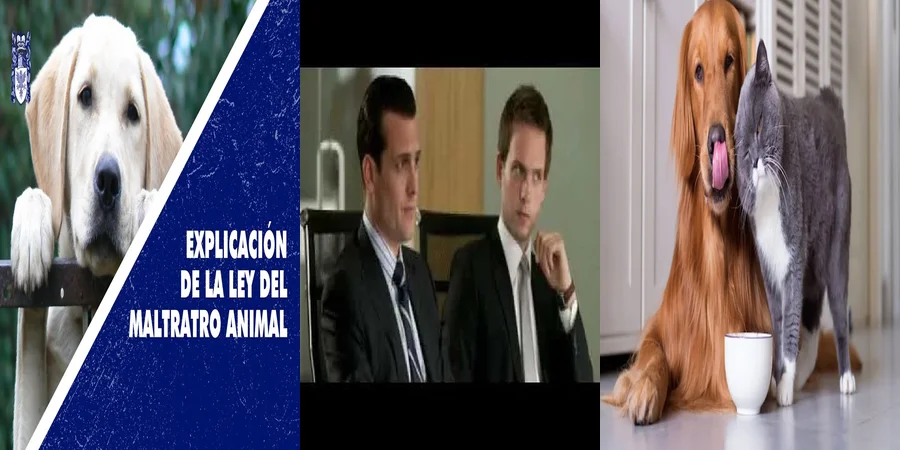 "¿Cuáles son tus derechos bajo la Ley de Protección Animal en México?"