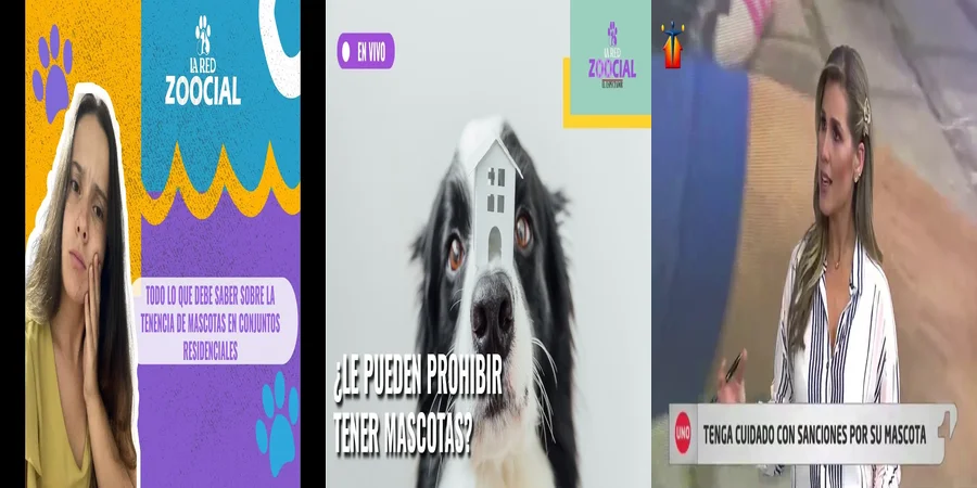"¿Cuáles son tus derechos como dueño de mascota en México?"