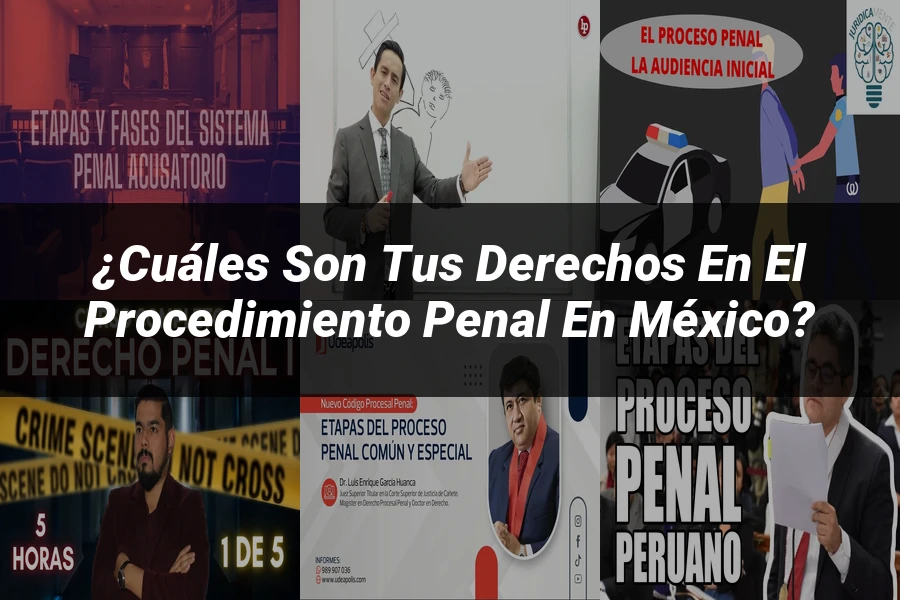 "¿Cuáles son tus derechos en el procedimiento penal en México?"