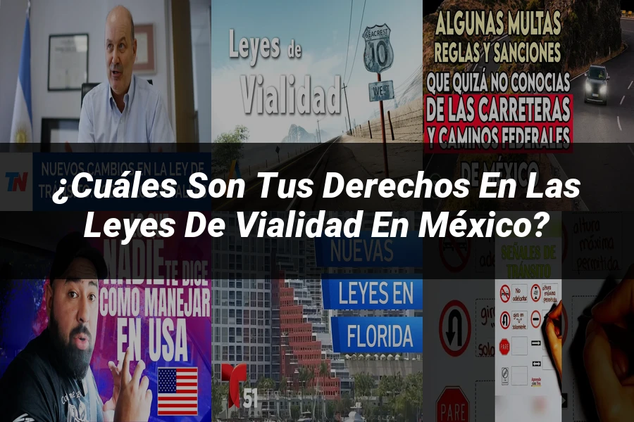 "¿Cuáles son tus derechos en las leyes de vialidad en México?"