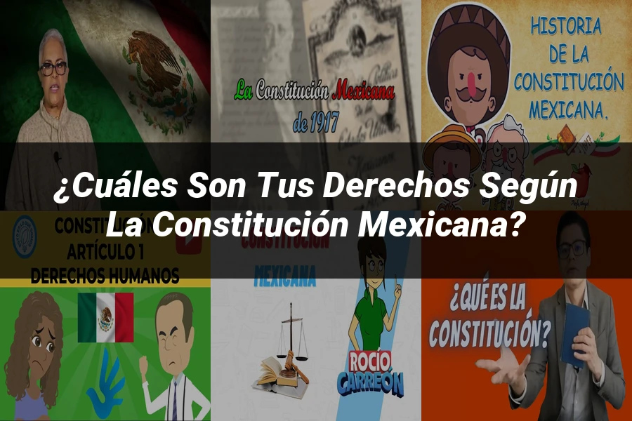 "¿Cuáles son tus derechos según la constitución mexicana?"