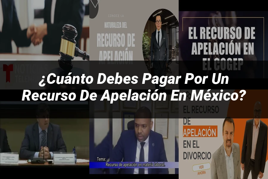 "¿Cuánto Debes Pagar por un Recurso de Apelación en México?"