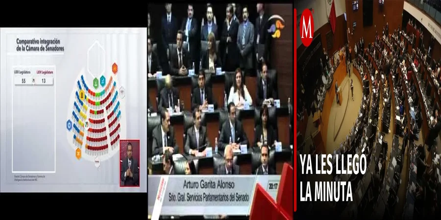 "¿Cómo Afecta la Composición de la Cámara de Senadores en México?"
