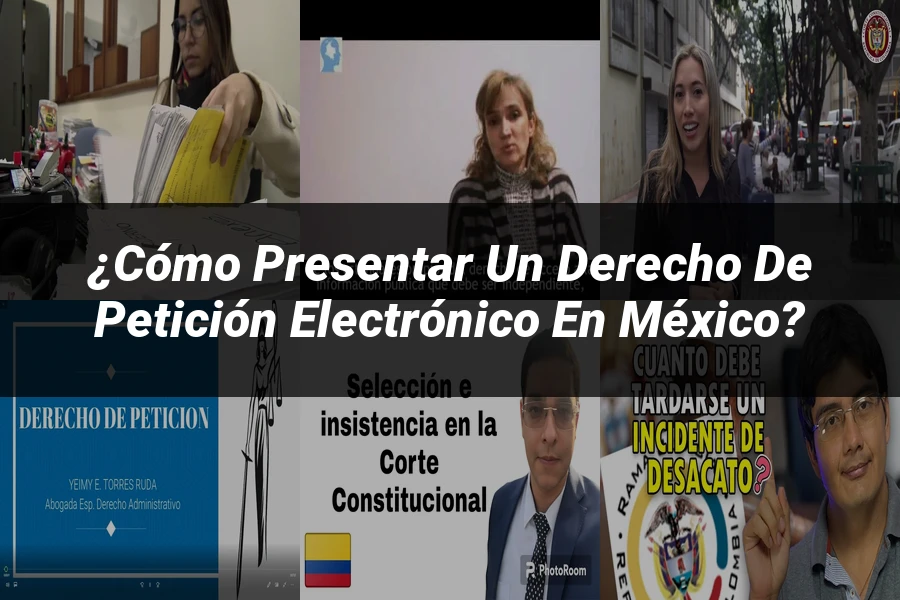 "¿Cómo Presentar un Derecho de Petición Electrónico en México?"