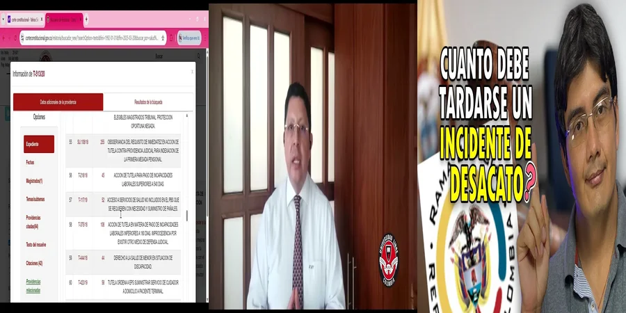 "¿Cómo Presentar un Derecho de Petición Electrónico en México?"