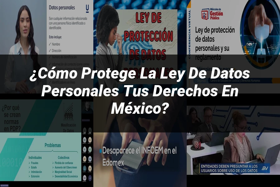 "¿Cómo Protege la Ley de Datos Personales tus Derechos en México?"