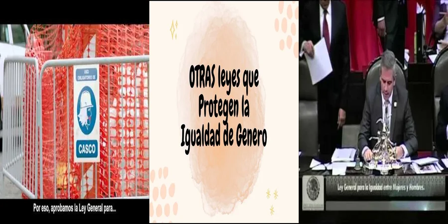 "¿Cómo Protege la Ley de Igualdad a Mujeres y Hombres en México?"