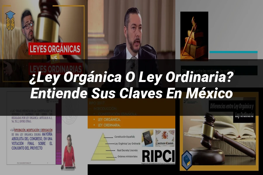 "¿Ley Orgánica o Ley Ordinaria? Entiende sus Claves en México"