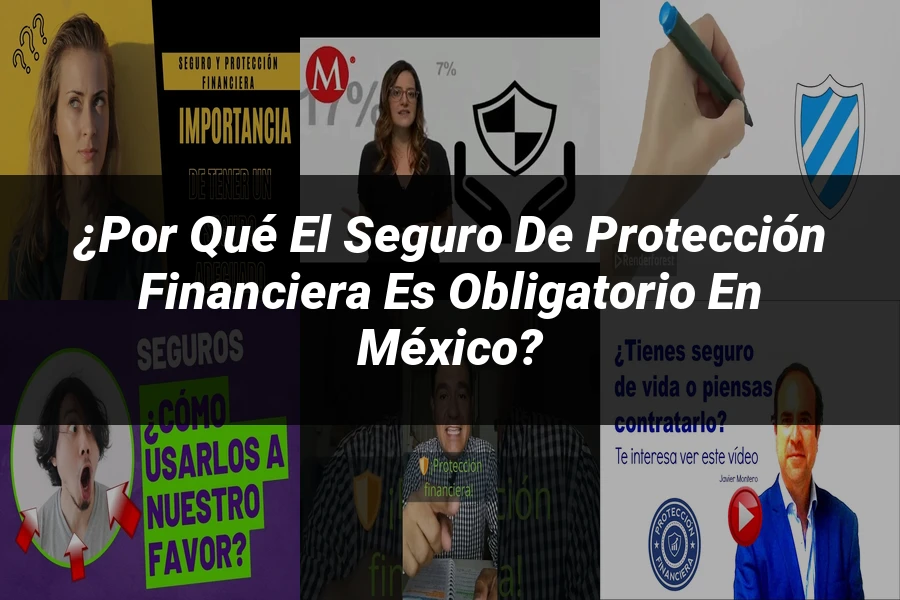 "¿Por Qué el Seguro de Protección Financiera es Obligatorio en México?"