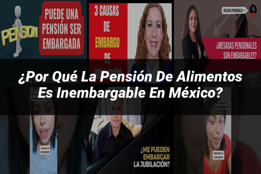 "¿Por Qué la Pensión de Alimentos es Inembargable en México?"