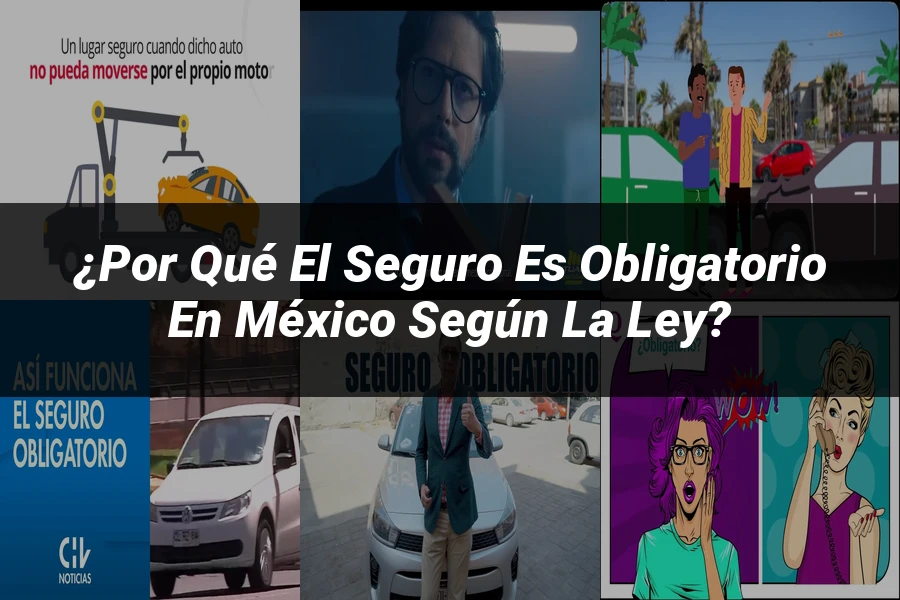 "¿Por qué el seguro es obligatorio en México según la ley?"