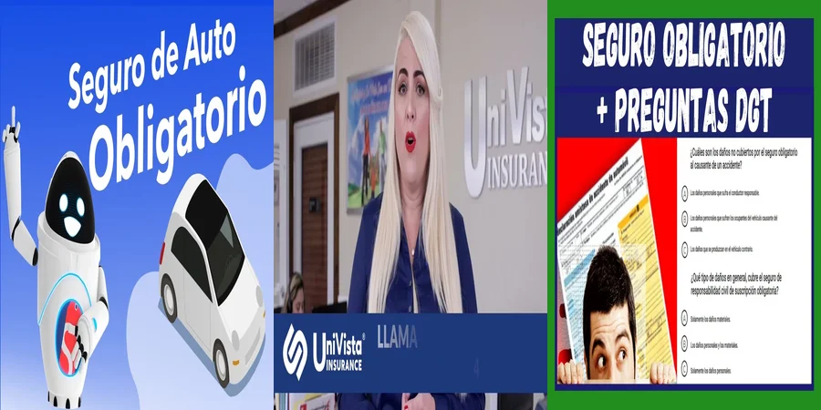 "¿Por qué es obligatorio el seguro de auto en México?"