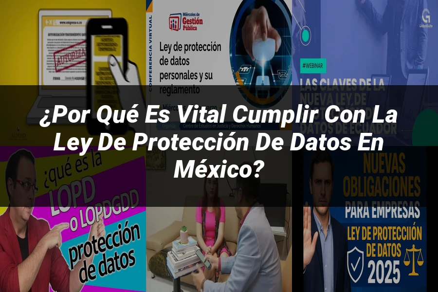 "¿Por qué es vital cumplir con la Ley de Protección de Datos en México?"
