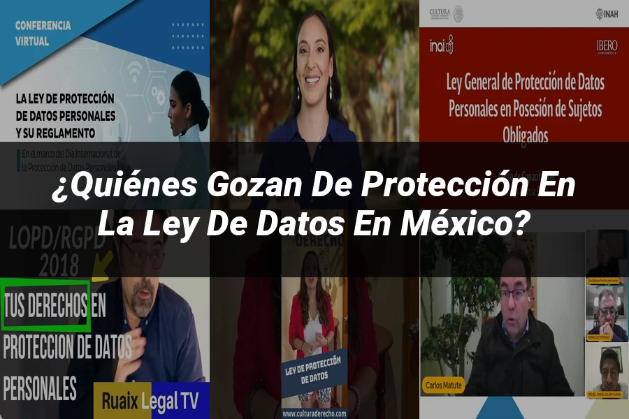 "¿Quiénes Gozan de Protección en la Ley de Datos en México?"