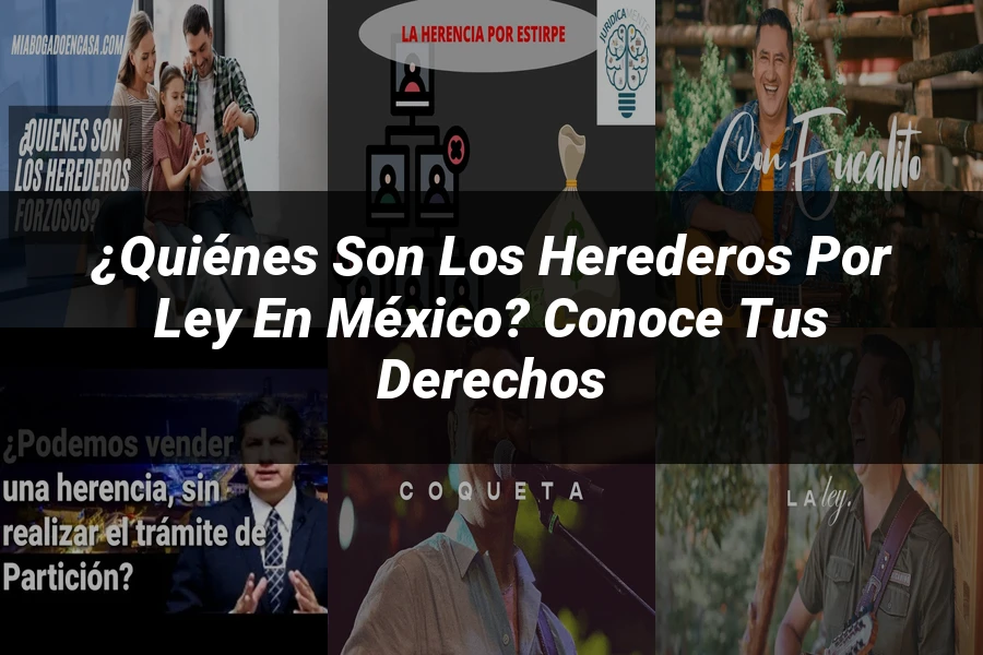 "¿Quiénes Son los Herederos por Ley en México? Conoce tus Derechos"