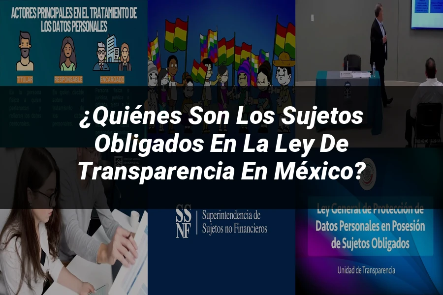 "¿Quiénes son los sujetos obligados en la Ley de Transparencia en México?"