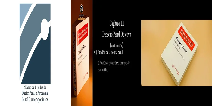"¿Qué Aporta el Derecho Penal Especial de Muñoz Conde en México?"