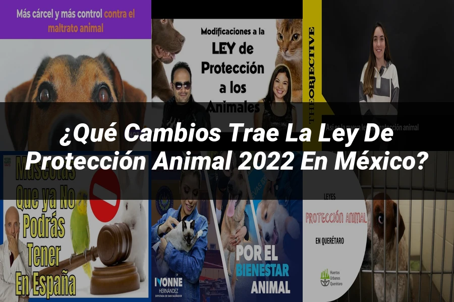 "¿Qué Cambios Trae la Ley de Protección Animal 2022 en México?"