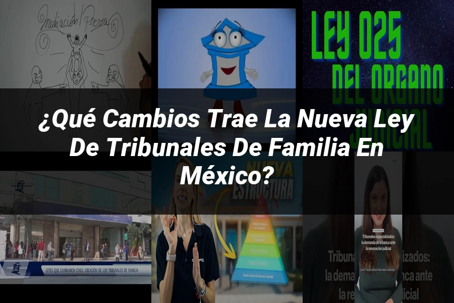 "¿Qué Cambios Trae la Nueva Ley de Tribunales de Familia en México?"