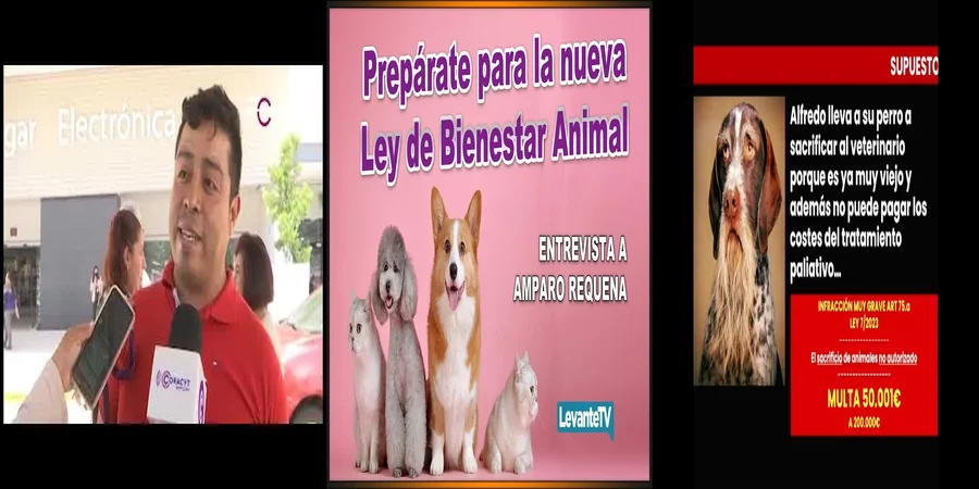 "¿Qué Cambios Traerá la Nueva Ley de Bienestar Animal en México?"