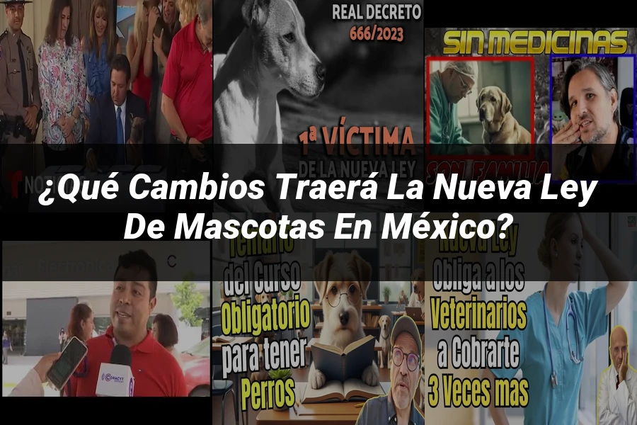 "¿Qué Cambios Traerá la Nueva Ley de Mascotas en México?"