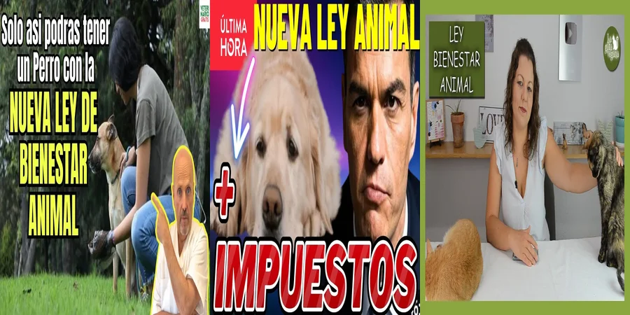 "¿Qué Cambios Traerá la Nueva Ley de Mascotas en México?"