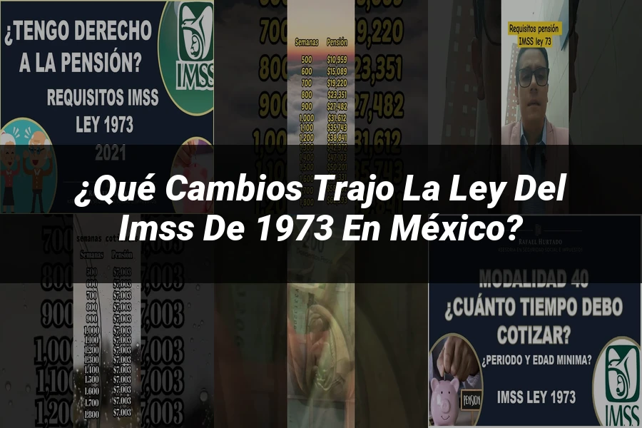 "¿Qué Cambios Trajo la Ley del IMSS de 1973 en México?"