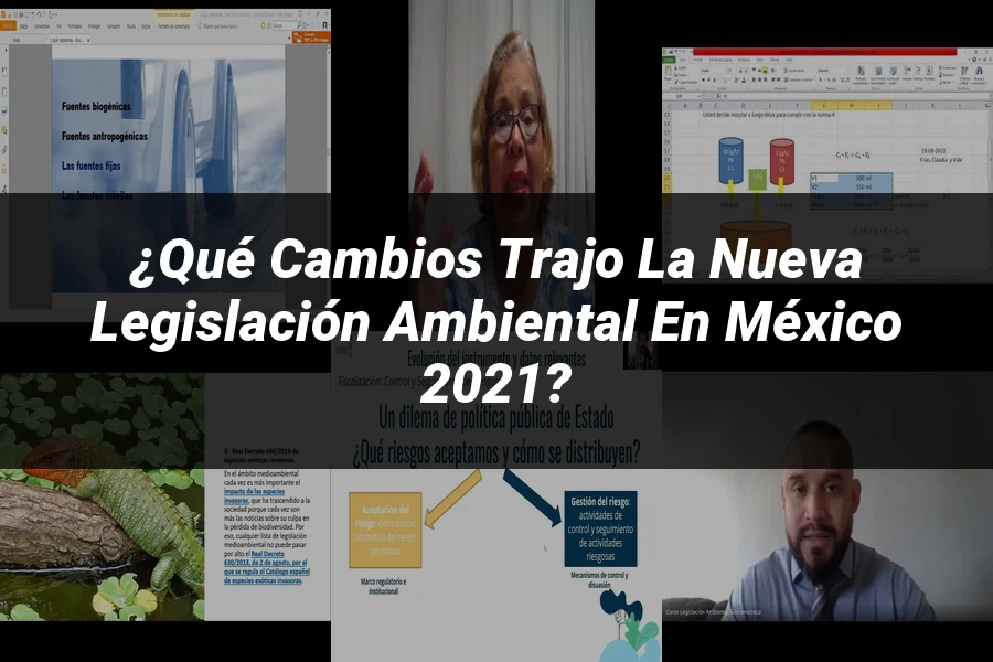 "¿Qué Cambios Trajo la Nueva Legislación Ambiental en México 2021?"