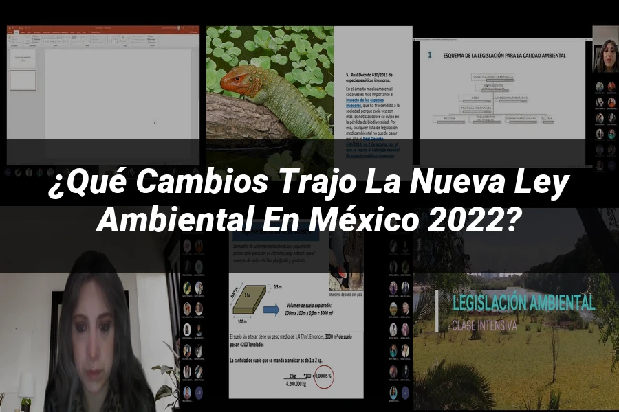 "¿Qué Cambios Trajo la Nueva Ley Ambiental en México 2022?"