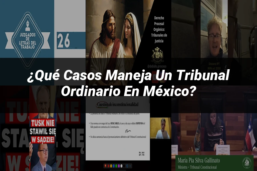 "¿Qué Casos Maneja un Tribunal Ordinario en México?"