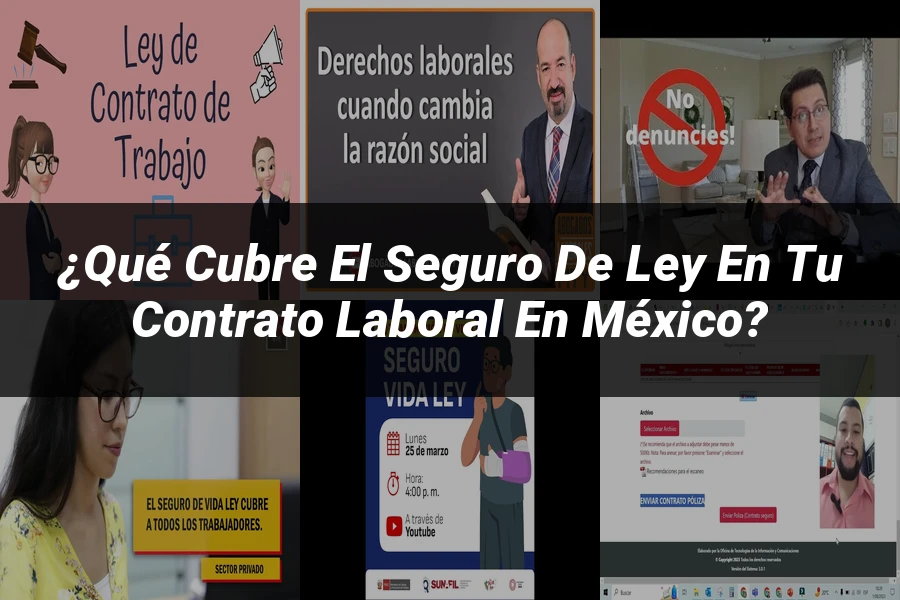 "¿Qué Cubre el Seguro de Ley en tu Contrato Laboral en México?"