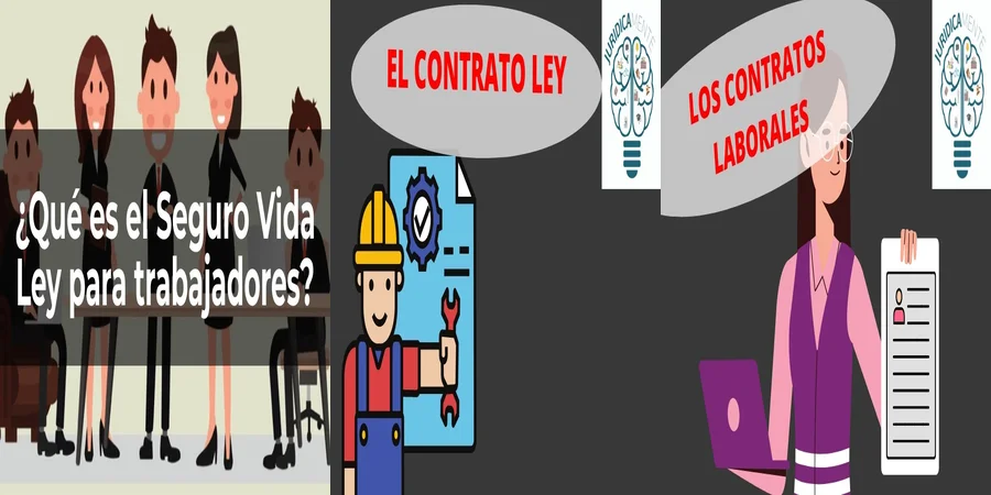"¿Qué Cubre el Seguro de Ley en tu Contrato Laboral en México?"