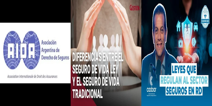 "¿Qué Cubren los Seguros de Ley en México para Tu Protección?"
