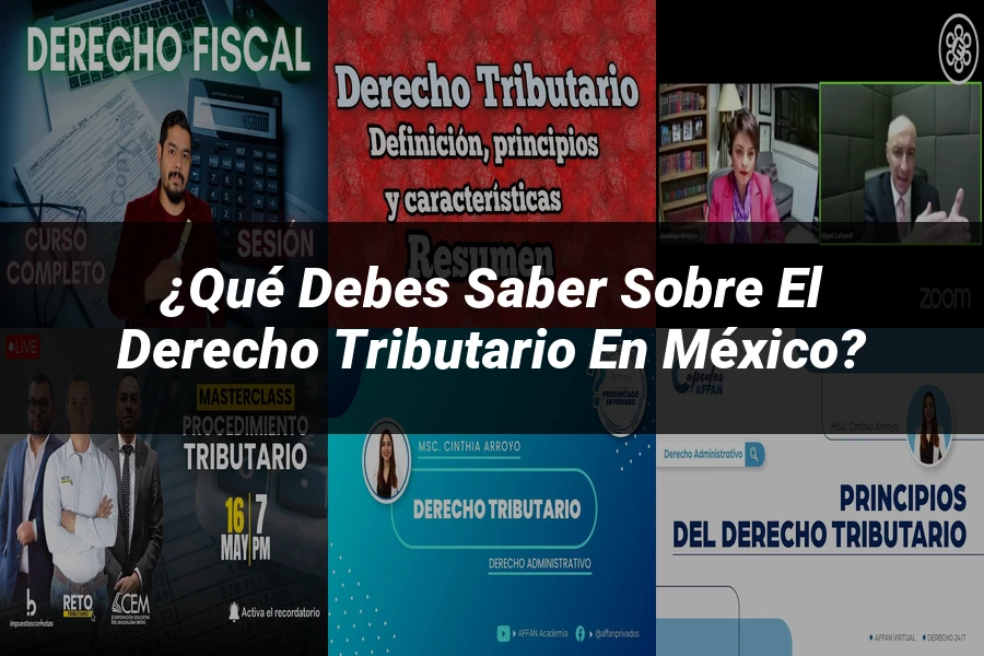 "¿Qué Debes Saber Sobre el Derecho Tributario en México?"